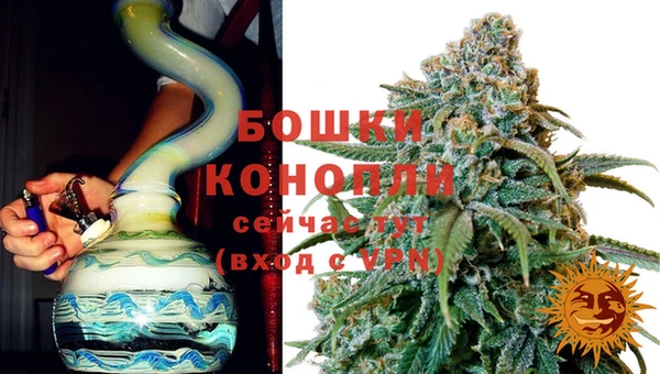 ПСИЛОЦИБИНОВЫЕ ГРИБЫ Аркадак