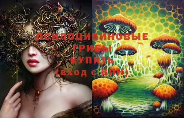 ПСИЛОЦИБИНОВЫЕ ГРИБЫ Алзамай