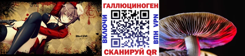 Псилоцибиновые грибы мухоморы  дарнет шоп  Лесной 
