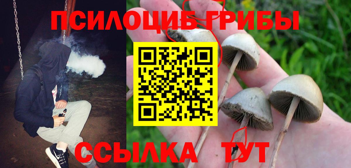 Псилоцибиновые грибы мицелий  Вход с VPN  Лесной 