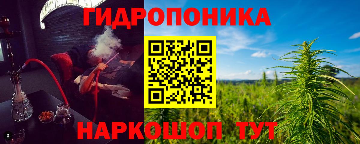 Лесной  МАРИХУАНА тримм  Вход с VPN  Канабис OG Kush  Бошки марихуана индика 