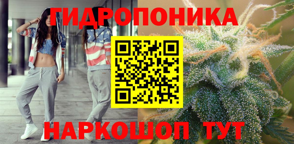 Конопля индика Лесной